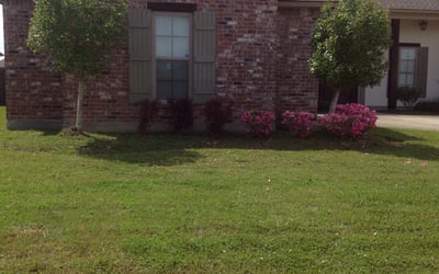 Photo of Chris P.'s yard after getting landscaping in Holden, LA