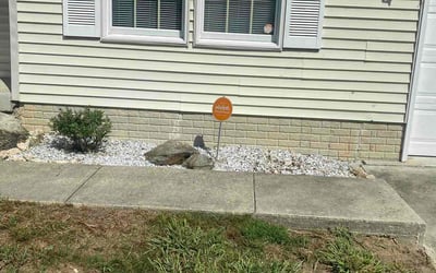 Photo of Tabitha R.'s yard after getting tree care in Reston, VA