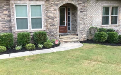 Photo of Brian P.'s yard after getting landscaping in Edgemoor, SC