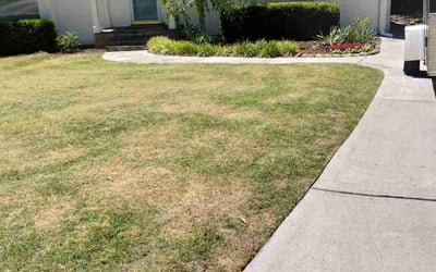 Photo of Daniel S.'s yard after getting landscaping in Tate, GA