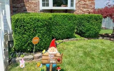 Photo of Ronald L.'s yard after getting landscaping in Hamersville, OH