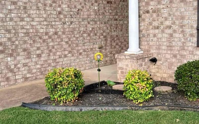 Photo of Kimberly B.'s yard after getting tree care in Cordova, TN