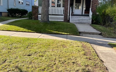 Photo of David S.'s yard after getting landscaping in Nashotah, WI