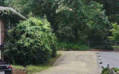 Photo of Jordan S.'s yard after getting landscaping in Leeds, AL