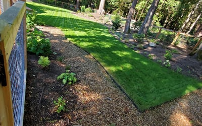 Photo of Christina S.'s yard after getting landscaping in Carnation, WA
