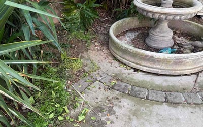 Photo of Brian U.'s yard after getting landscaping in Elk Grove, CA