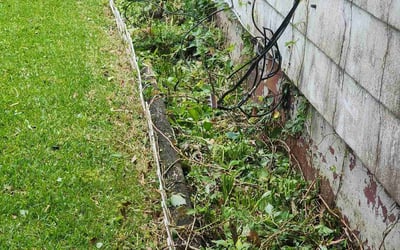 Photo of Joshua R.'s yard after getting landscaping in Barco, NC
