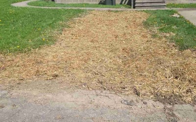 Photo of Keisha S.'s yard after getting landscaping in Canton, OH