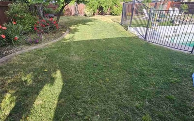 Photo of John B.'s yard after getting landscaping in Citrus Heights, CA