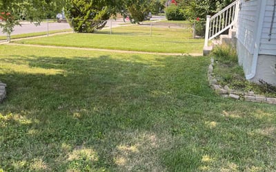 Photo of Twyla G.'s yard after getting tree care in Bel Air, MD