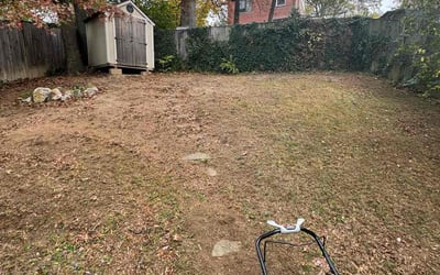 Photo of Ryan G.'s yard after getting landscaping in Washington Grove, MD