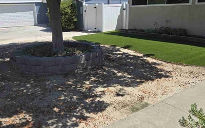 Photo of Carolyn G.'s yard after getting landscaping in La Jolla, CA