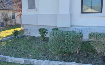 Photo of Lauren P.'s yard after getting landscaping in Red Rock, TX