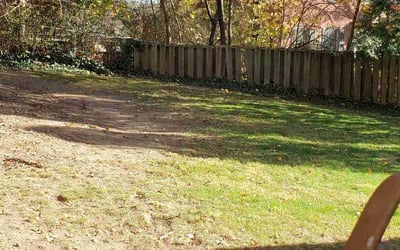 Photo of Rosalind J.'s yard after getting landscaping in Mc Kees Rocks, PA
