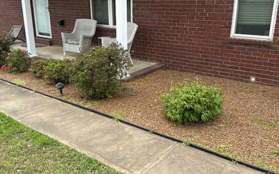Photo of Gena M.'s yard after getting landscaping in Munford, TN