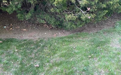 Photo of Jennifer C.'s yard after getting landscaping in Deer Park, NY