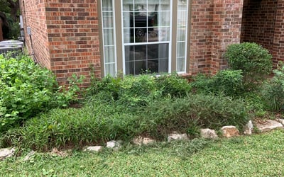 Photo of Bobbie M.'s yard after getting tree care in Schertz, TX