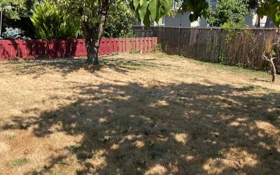 Photo of Cynthia L.'s yard after getting landscaping in Canby, OR