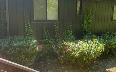 Photo of Cassandra G.'s yard after getting landscaping in Marietta, GA