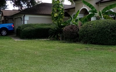 Photo of Marina O.'s yard after getting landscaping in Goldenrod, FL