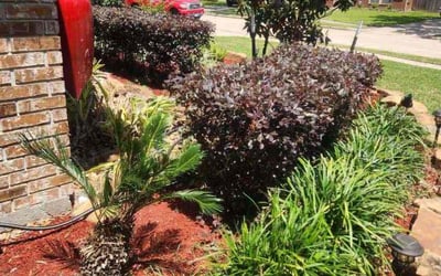 Photo of Carlos R.'s yard after getting landscaping in Wallisville, TX