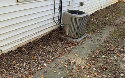 Photo of Michelle S.'s yard after getting landscaping in Corinth, KY
