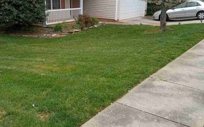Photo of William E.'s yard after getting landscaping in Union Grove, NC