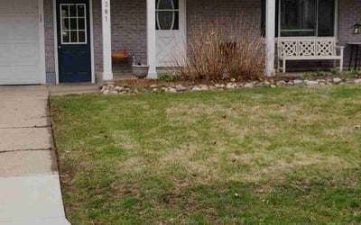 Photo of Mary C.'s yard after getting landscaping in Comstock Park, MI