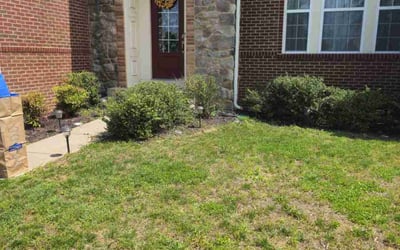 Photo of Justin S.'s yard after getting landscaping in Gainesville, VA