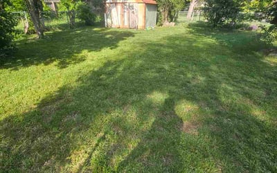 Photo of Leslie W.'s yard after getting landscaping in Von Ormy, TX