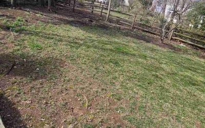 Photo of Beth D.'s yard after getting landscaping in Hamilton, VA