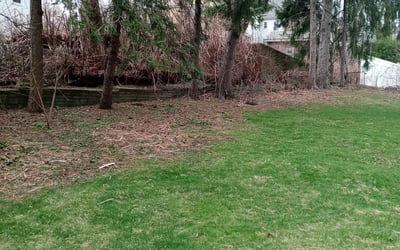 Photo of Amber W.'s yard after getting lawn care in Salem, MA