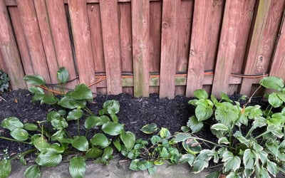 Photo of Mike D.'s yard after getting lawn care in Gainesville, VA