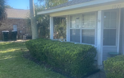 Photo of Angela M.'s yard after getting landscaping in Molino, FL