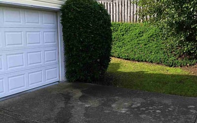 Photo of Sarah B.'s yard after getting landscaping in Buford, GA