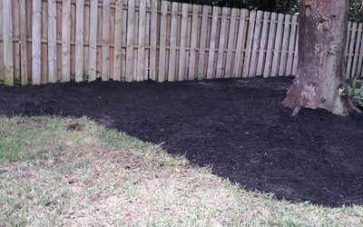 Photo of Aj E.'s yard after getting tree care in Istachatta, FL