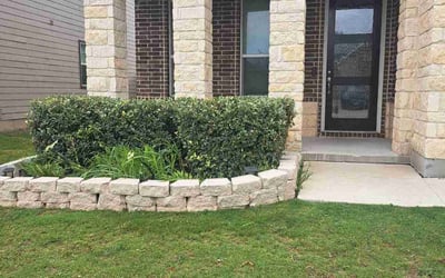 Photo of Diana H.'s yard after getting tree care in Schertz, TX