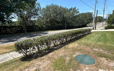 Photo of Robert S.'s yard after getting landscaping in Eagle Lake, FL