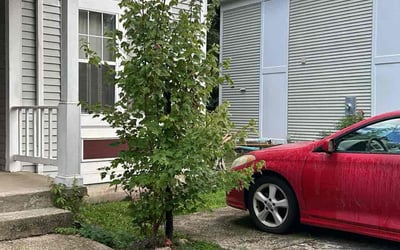 Photo of Mary S.'s yard after getting landscaping in Purcellville, VA