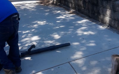 Photo of Sarah W.'s yard after getting landscaping in O Fallon, IL