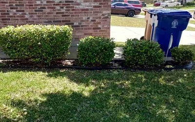 Photo of Jason L.'s yard after getting landscaping in Port Aransas, TX