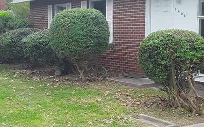Photo of Diane W.'s yard after getting landscaping in Point Harbor, NC