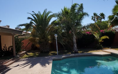 Photo of Keenan G.'s yard after getting landscaping in Arlington, AZ