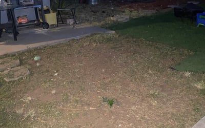 Photo of Joshua H.'s yard after getting landscaping in Ramona, CA