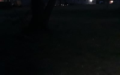 Photo of James R.'s yard after getting tree care in Lenexa, KS