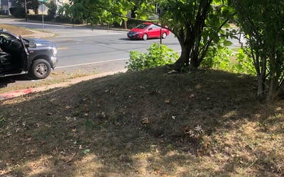 Photo of Jennifer S.'s yard after getting landscaping in Tolland, CT