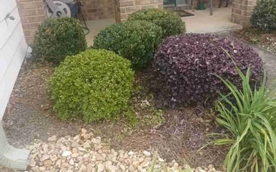 Photo of Belinda T.'s yard after getting landscaping in Acworth, GA