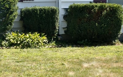 Photo of Matt R.'s yard after getting landscaping in Isle, MN