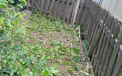 Photo of Eric W.'s yard after getting landscaping in Freeman, MO