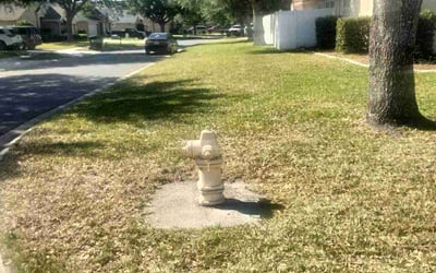 Photo of Joshua T.'s yard after getting landscaping in Orange Park, FL